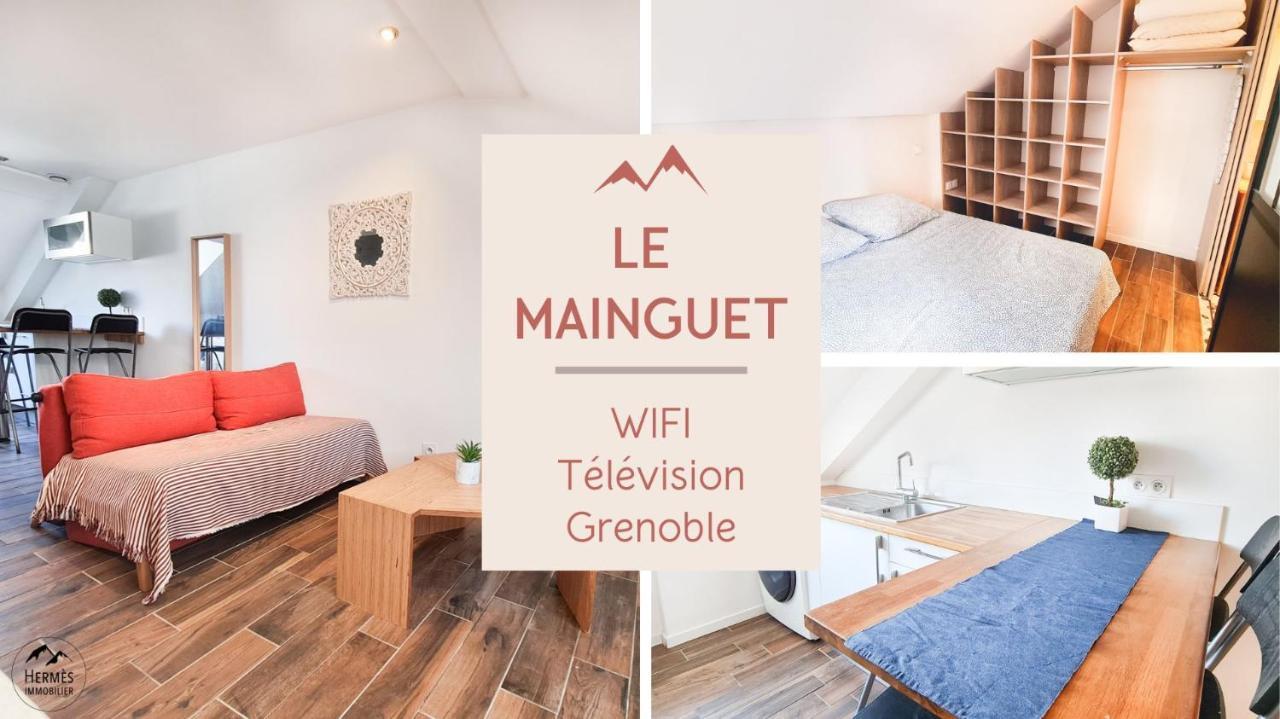 Le Mainguet - Appartement Cosy - 그르노블 외부 사진